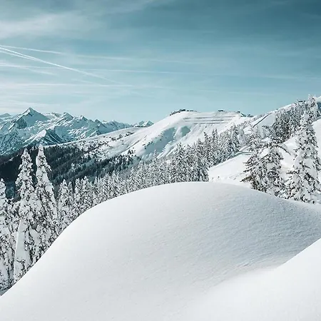 Crown Of The Alps By We Rent *